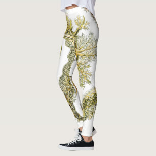 Meeresschnecken von Ernst Haeckel, Vintage Nudibra Leggings