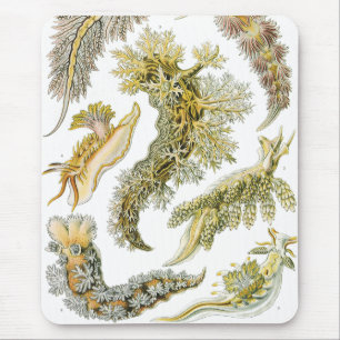 Meeresschnecken von Ernst Haeckel, Vintage Nudibra Mousepad