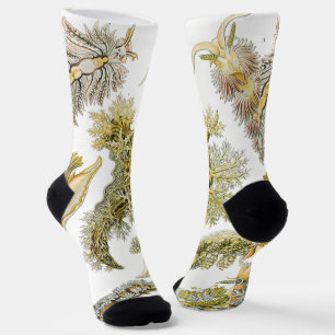 Meeresschnecken von Ernst Haeckel, Vintage Nudibra Socken