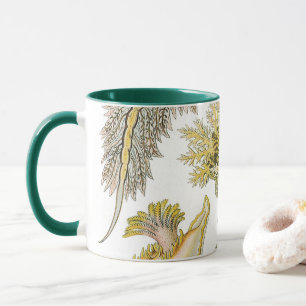 Meeresschnecken von Ernst Haeckel, Vintage Nudibra Tasse