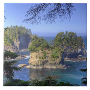 Meeresstacks, Makah Nation Stammesland, Kap Fliese