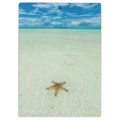 Meerestern in flachem Wasser, Palau Klemmbrett (Rückseite)