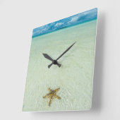 Meerestern in flachem Wasser, Palau Quadratische Wanduhr (Winkel)