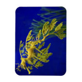 Meerestier Magnet (Vertikal)