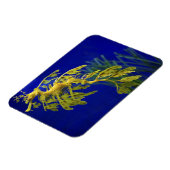 Meerestier Magnet (Linke Seite)