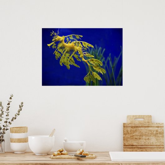 Meerestier Poster (Küche)