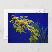 Meerestier Postkarte (Vorne/Hinten)