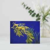 Meerestier Postkarte (Stehend Vorderseite)