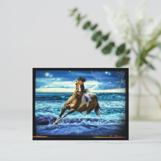 Meerestier Postkarte (Stehend Vorderseite)