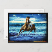 Meerestier Postkarte (Vorne/Hinten)