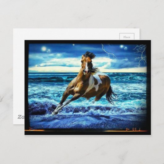 Meerestier Postkarte (Vorne/Hinten)