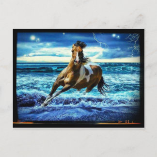 Meerestier Postkarte