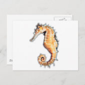 Meerestier Postkarte (Vorne/Hinten)