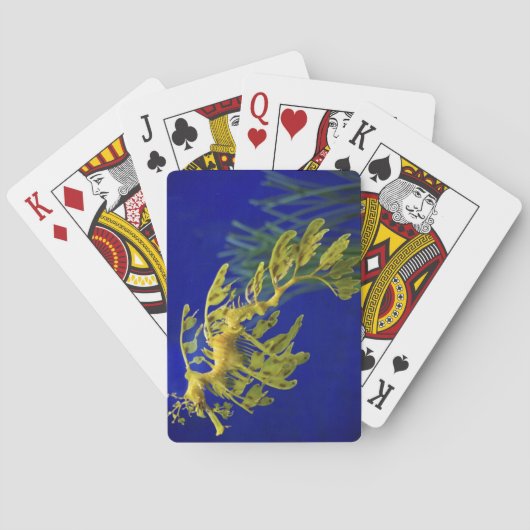 Meerestier Spielkarten (Rückseite)
