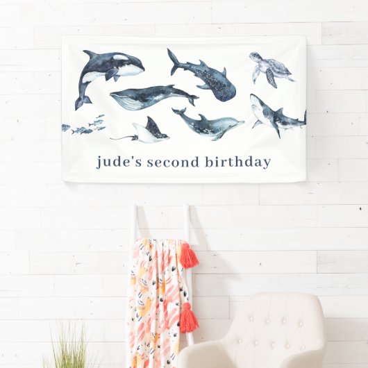 Meerestiere Banner (Insitu)