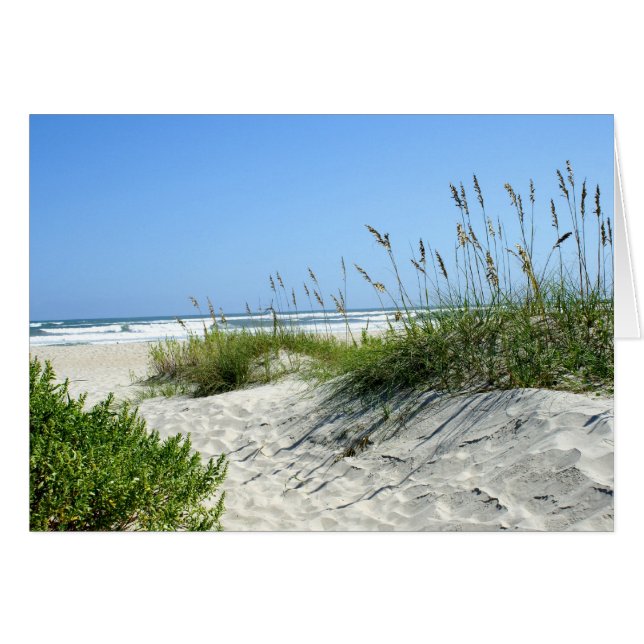 Meerestiere bei Ocracoke (Vorderseite (Horizontal))