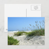 Meerestiere bei Ocracoke Postkarte (Vorne/Hinten)