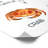 Meerestiere | Bildung Lernunterricht Poster (Ecke)