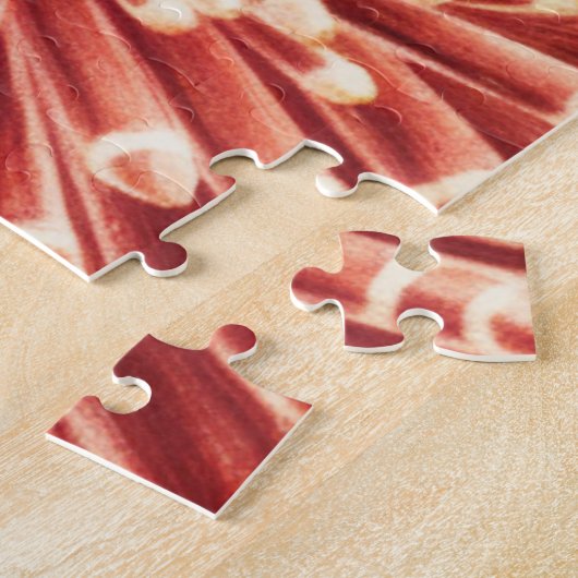 Meerestiere des Great Barrier Reef Echinoderme Puzzle (Seite)