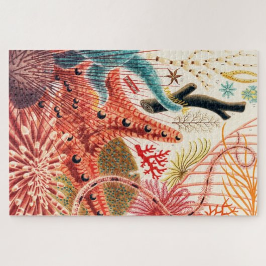 Meerestiere des Great Barrier Reef Echinoderme Puzzle (Horizontal)