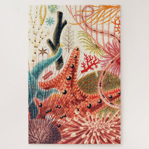 Meerestiere des Great Barrier Reef Echinoderme Puzzle