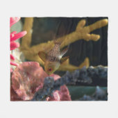 Meerestiere Fleecedecke (Vorderseite (Horizontal))