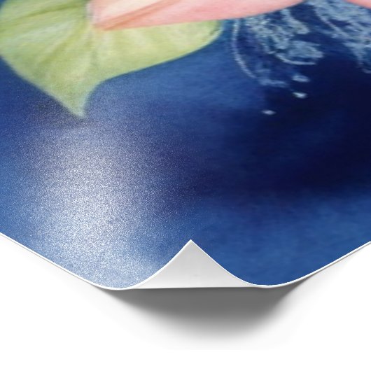 Meerestiere Fotodruck (Ecke)