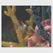 Meerestiere Geschenkpapier (Flach)