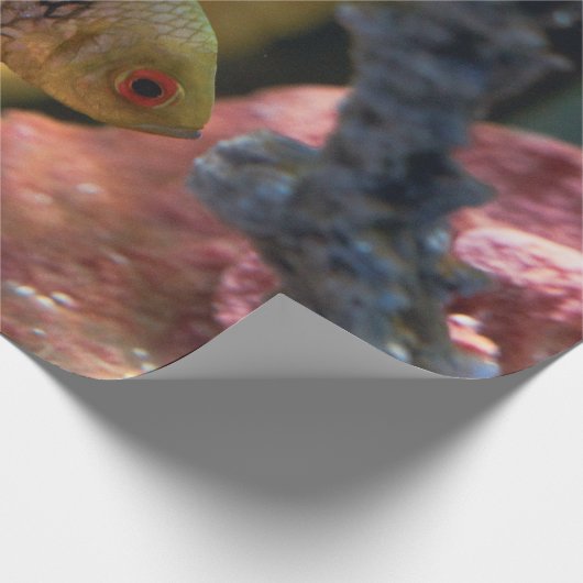 Meerestiere Geschenkpapier (Ecke)