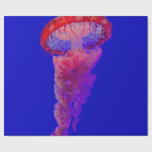 Meerestiere Geschenkpapier (Flach)