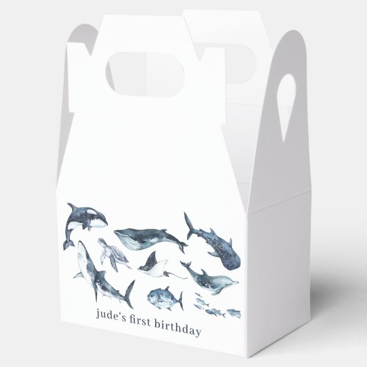 Meerestiere Geschenkschachtel (Geöffnet)