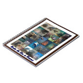 Meerestiere Notizblock (Linke Seite)