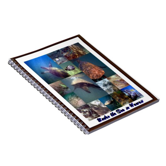 Meerestiere Notizblock (Rechte Seite)