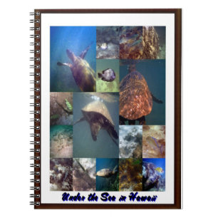 Meerestiere Notizblock
