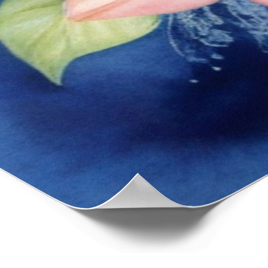 Meerestiere Poster (Ecke)