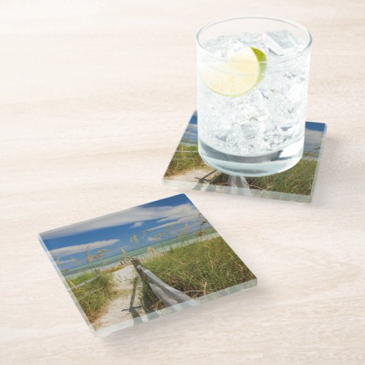 Meerestiere (Uniola paniculata), die am Strand ang Glasuntersetzer (Schrägansicht)