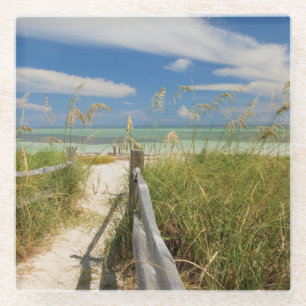 Meerestiere (Uniola paniculata), die am Strand ang Glasuntersetzer