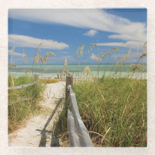 Meerestiere (Uniola paniculata), die am Strand ang Glasuntersetzer (Vorderseite)