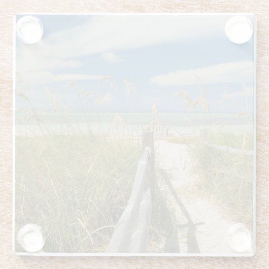 Meerestiere (Uniola paniculata), die am Strand ang Glasuntersetzer (Rückseite)