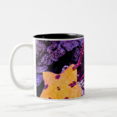 Meerestiere Zweifarbige Tasse (Links)