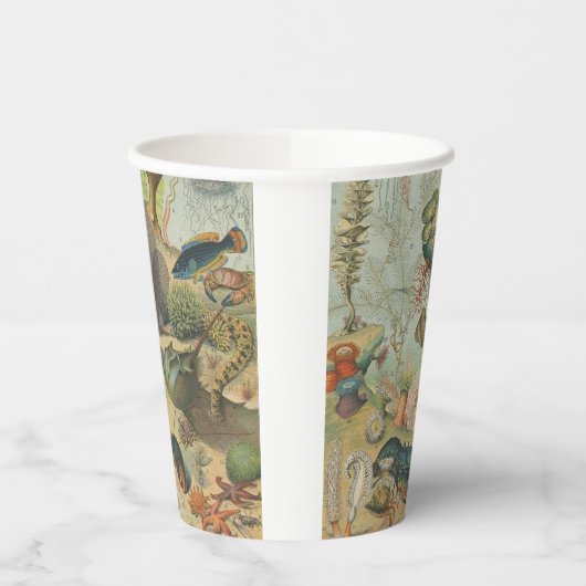 Meerestierisches Party Pappbecher (Links)