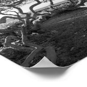 Meerestrauben Schwarze und weiße Strandbilder Poster (Ecke)