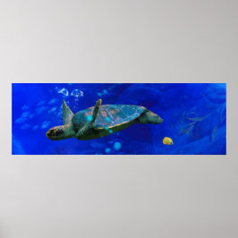 MEERESTURTLE WIND AUF DEM WASSER POSTER