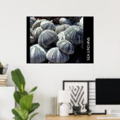 MEERESURCHINEN POSTER (Heimbüro)