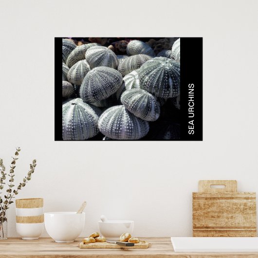 MEERESURCHINEN POSTER (Küche)