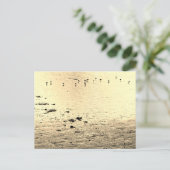 Meeresvögel in Sepia Postkarte (Stehend Vorderseite)