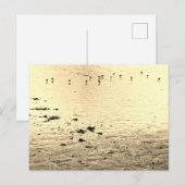 Meeresvögel in Sepia Postkarte (Vorne/Hinten)