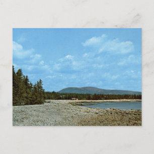 Meereswall Acadia-Nationalpark Vintage-Küste Postkarte