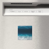 Meereswasser unter dem Meer Magnet (In Situ (Geschirrspüler))