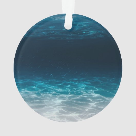 Meereswasser unter dem Meer Ornament (Rückseite)
